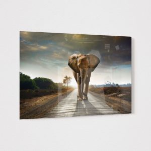 Sticla - Oliphant