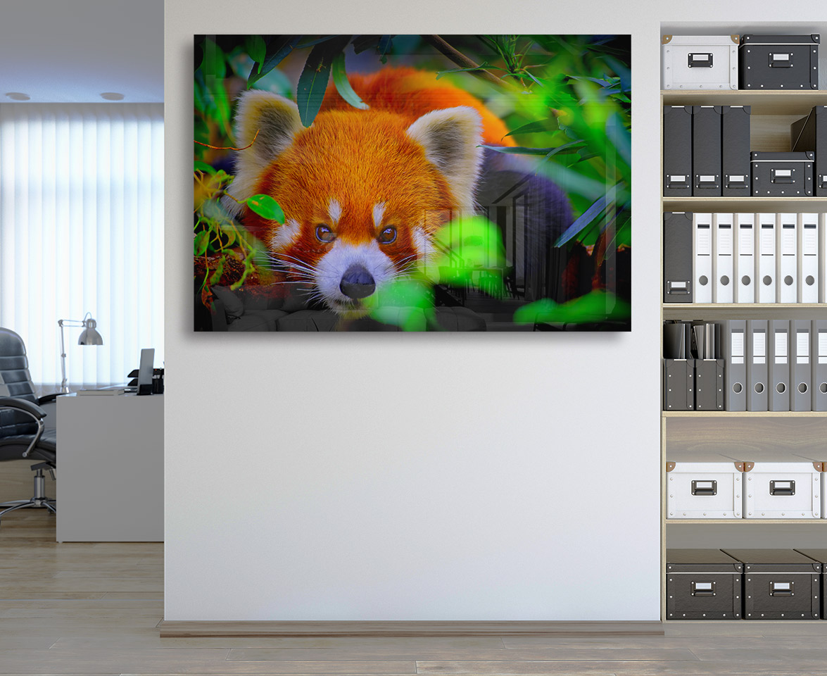 Sticla - Red Panda - imagine 3