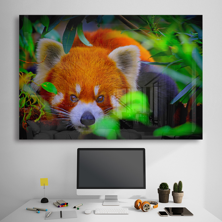 Sticla - Red Panda - imagine 4