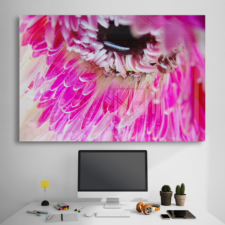 Sticla - Macro Gerbera - imagine 3