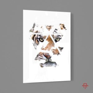 Sticla - Abstract Tigris
