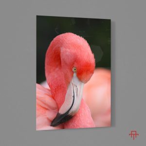 Sticla - Flamingo