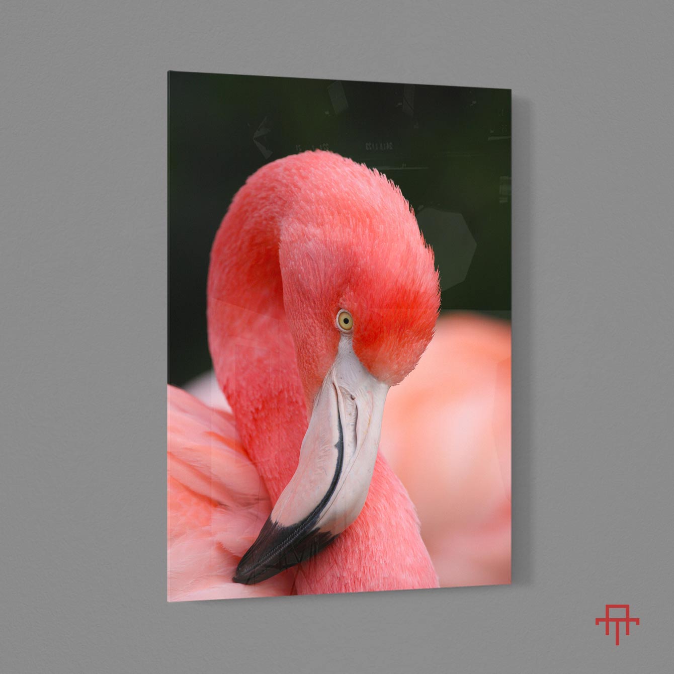 Sticla - Flamingo