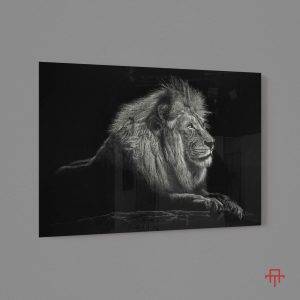 Sticla - Lion on Rock