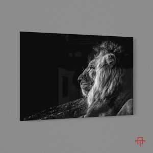 Sticla - Lion Profile