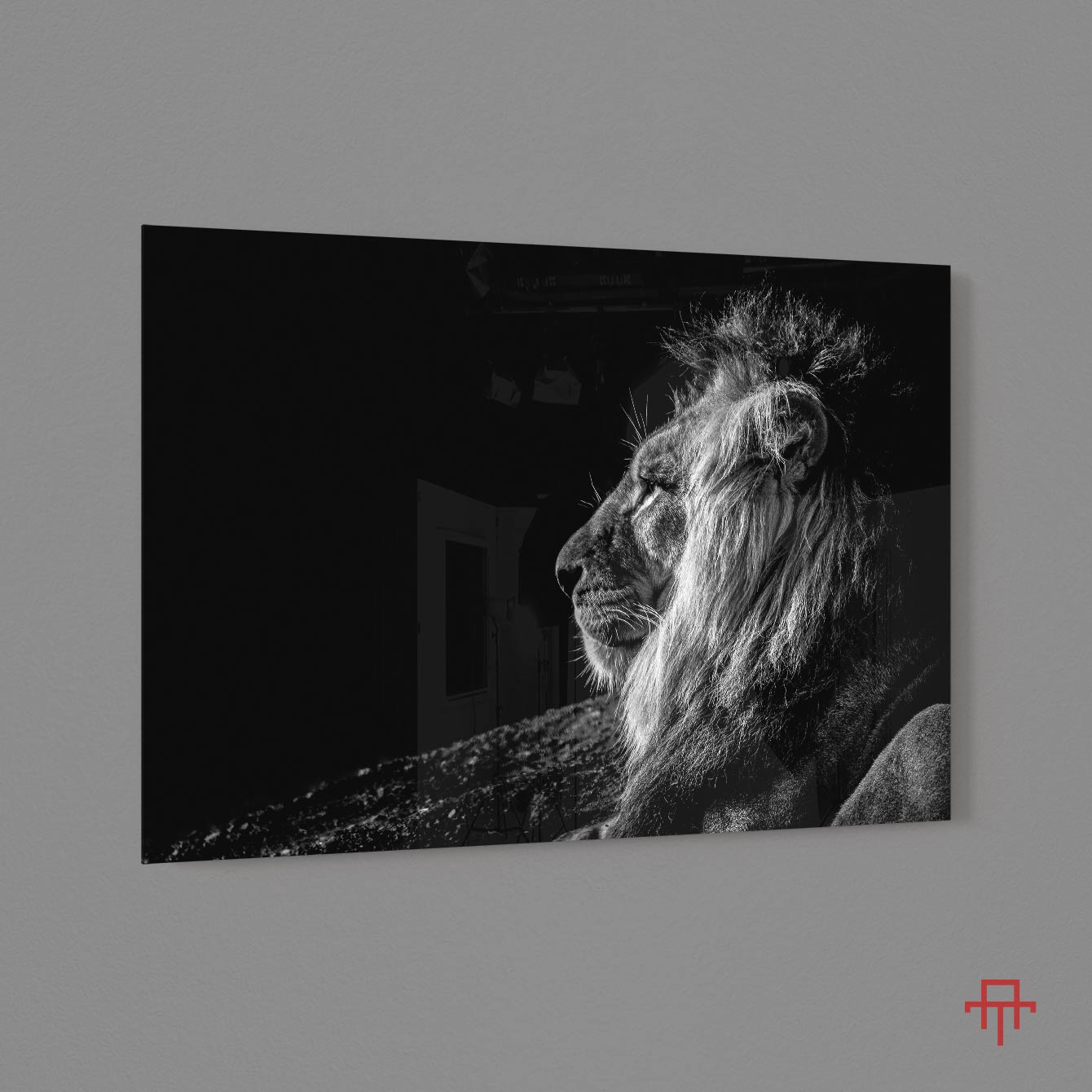 Sticla - Lion Profile