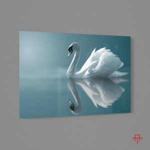 Sticla - Mirror Swan