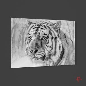 Sticla - Snow Tiger