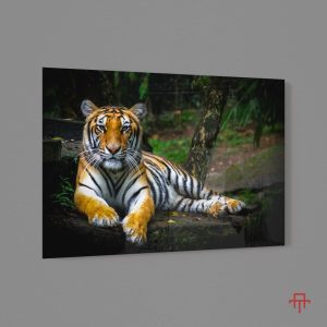 Sticla - True Bengal