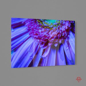 Sticla - Gerbera