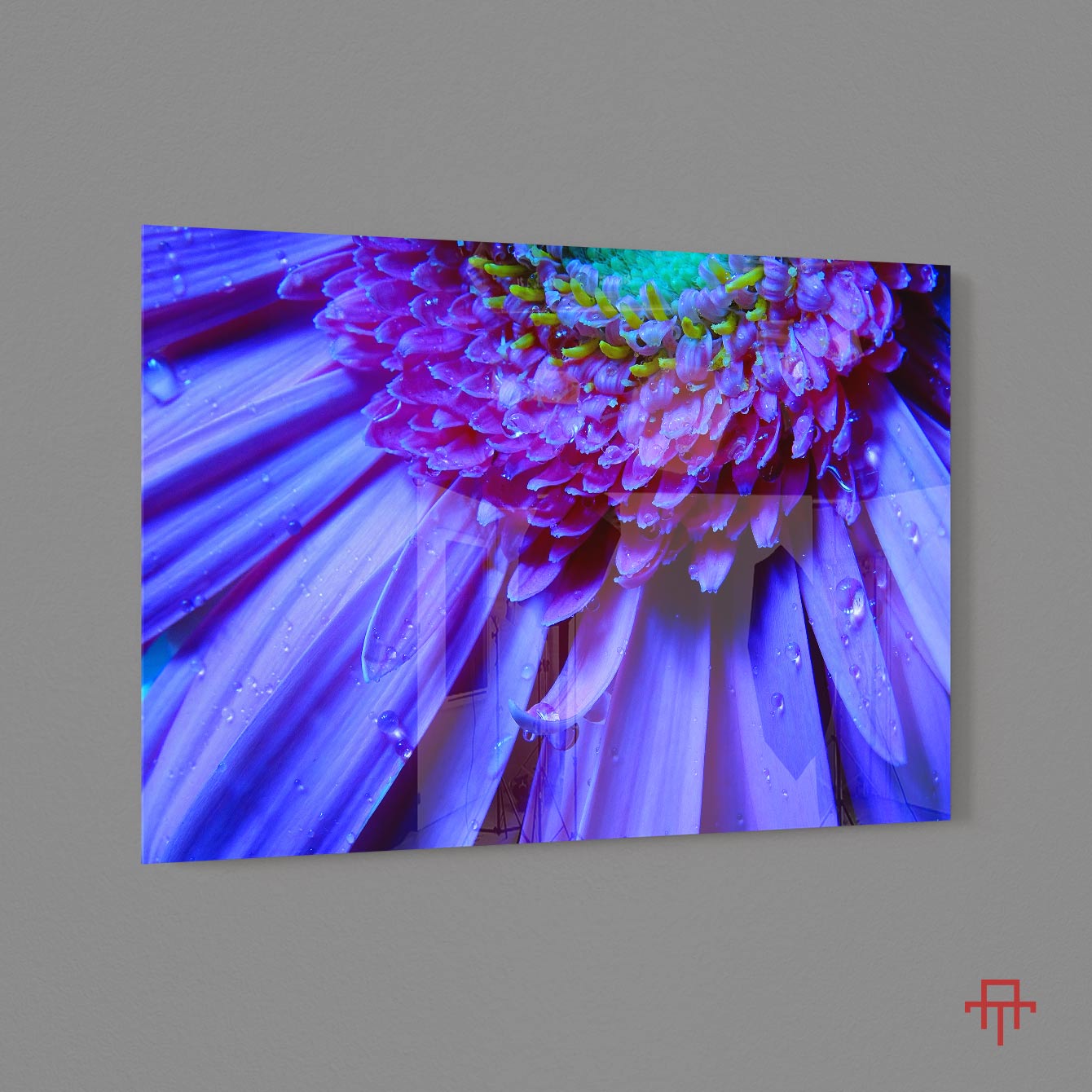 Sticla - Gerbera
