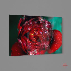 Sticla - Macro Drops