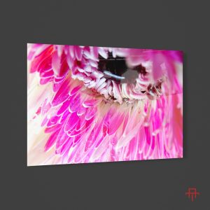 Sticla - Macro Gerbera