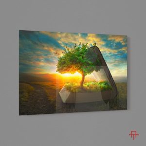 Sticla - Tree of Wisdom