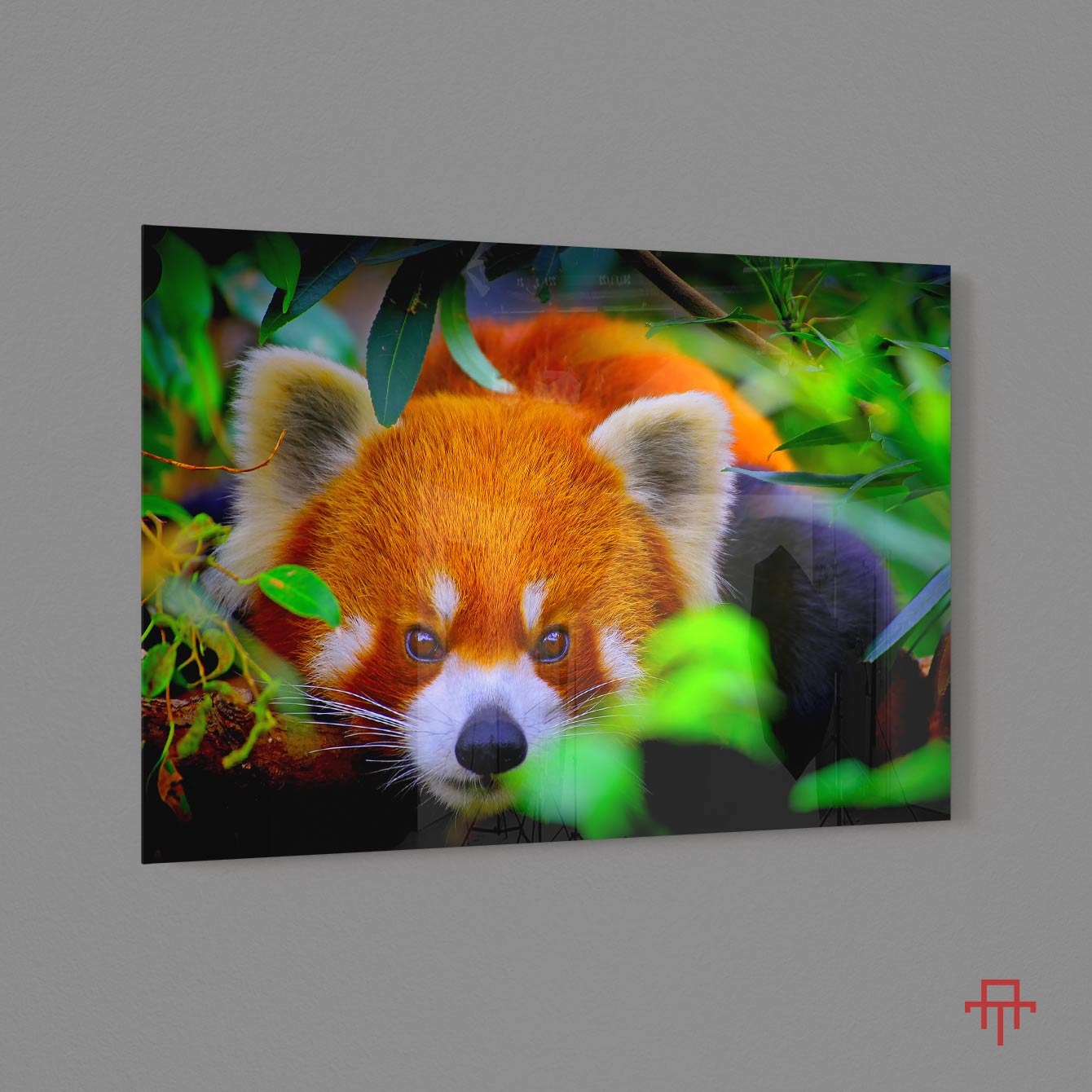 Sticla - Red Panda