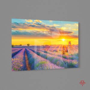 Sticla - Lavender fields