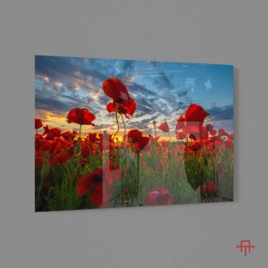 Sticla - Poppy field