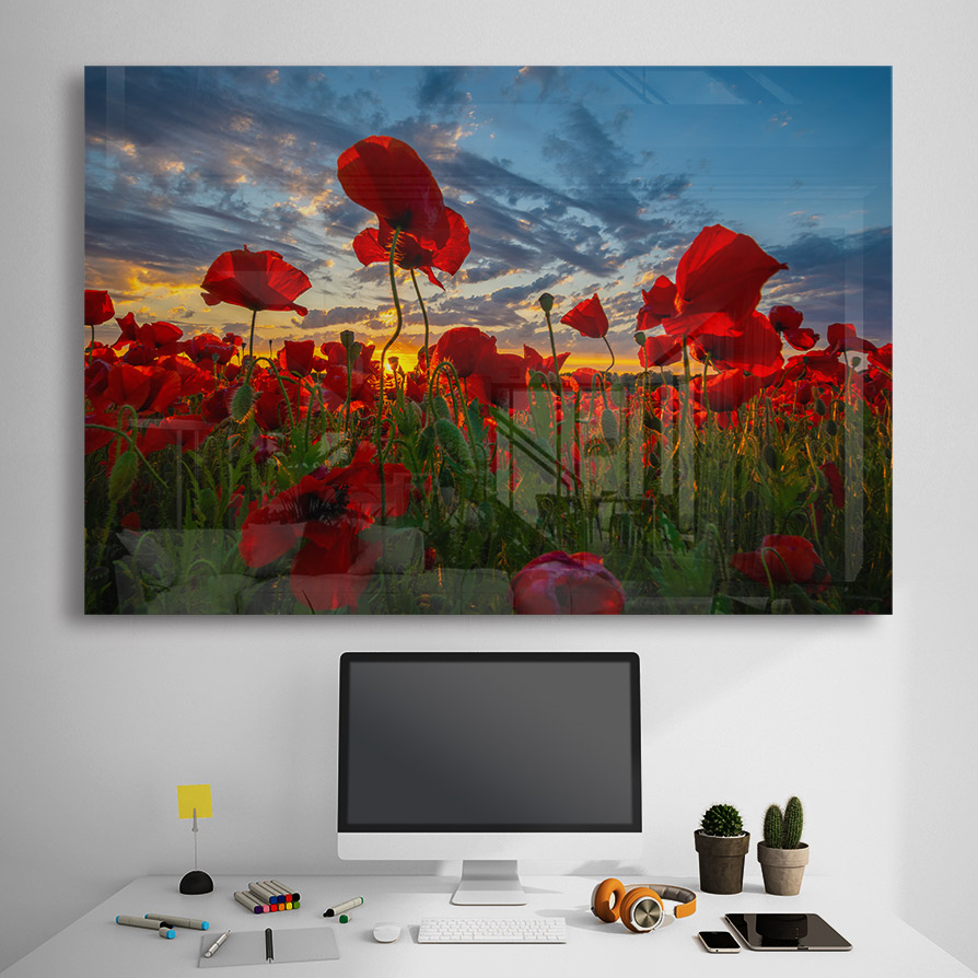 Sticla - Poppy field - imagine 4